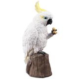 DA-CACATUA-001.jpg