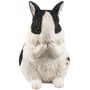 DA-CONEJO-004.jpg
