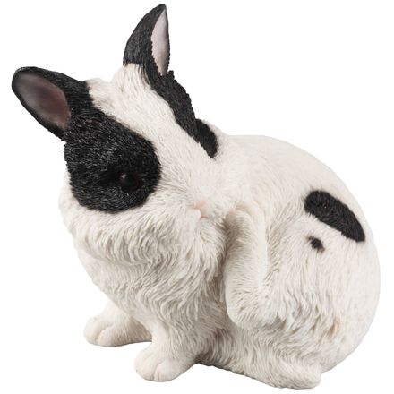 DA-CONEJO-005.jpg