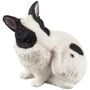 DA-CONEJO-005.jpg