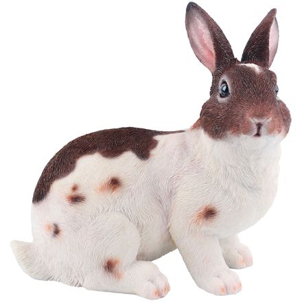 DA-CONEJO-009.jpg