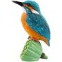 DA-PAJARO-011.jpg