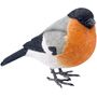 DA-PAJARO-015.jpg