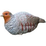 DA-PAJARO-016.jpg