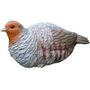 DA-PAJARO-016.jpg