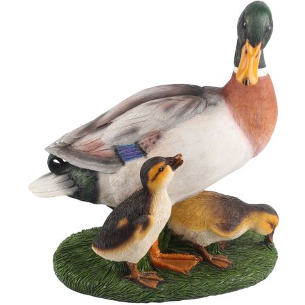 DA-PATO-002.jpg
