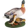 DA-PATO-002.jpg