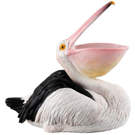 DA-PELICANO-001.jpg